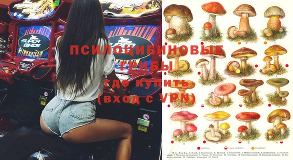 дурь Белоозёрский