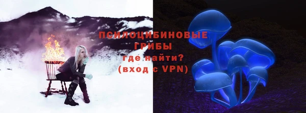 гашиш Белокуриха